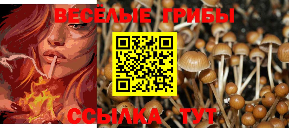 Псилоцибиновые грибы прущие грибы Переславль-Залесский